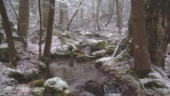 We inform and mobilize citizens to protect the George Washington National Forest.<br><br><a href='http://www.aguafund.org/?page_id=160' target='_self'>+ Read more</a>