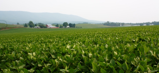 We foster informed dialogue on issues of growth and development in Shenandoah County.<br><br><a href='http://www.aguafund.org/?page_id=160' target='_self'>+ Read more</a>