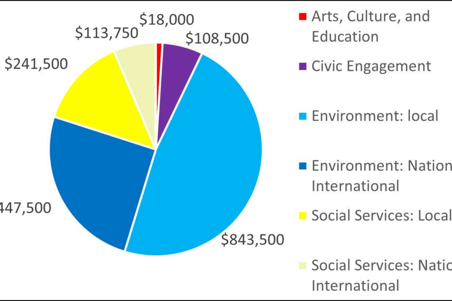 Pie chart with 2004 breakdown by category: 18000 Arts, Culture, and Education 108500 Civic Engagement 843500 Environment: local 447500 Environment: National, International 241500 Social Services: Local 113750 Social Services: National, International
