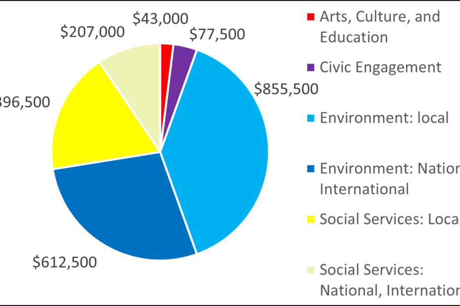 Pie chart showing breakdown for 2006 grants by category: 43000 Arts, Culture, and Education 77500 Civic Engagement 855500 Environment: local 612500 Environment: National, International 396500 Social Services: Local 207000 Social Services: National, International