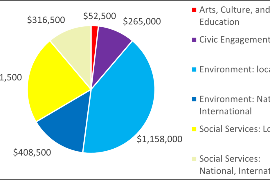 Pie chart showing breakdown by category for 2008: 52500 Arts, Culture, and Education 265000 Civic Engagement 1158000 Environment: local 408500 Environment: National, International 631500 Social Services: Local 316500 Social Services: National, International
