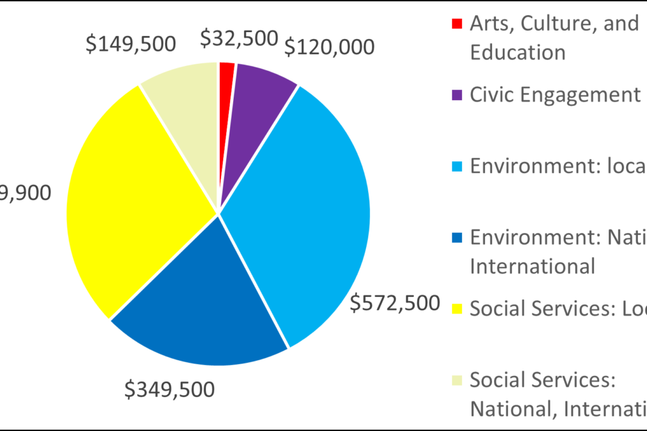 Pie chart showing breakdown by category: 32500 Arts, Culture, and Education 120000 Civic Engagement 572500 Environment: local 349500 Environment: National, International 489900 Social Services: Local 149500 Social Services: National, International