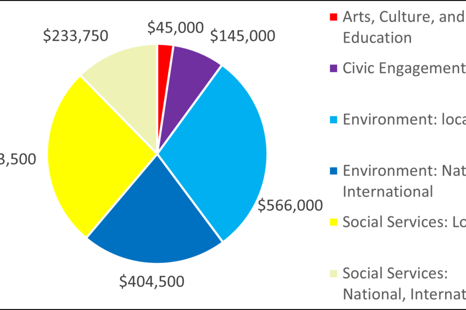 Pie chart showing breakdown by category: 45000 Arts, Culture, and Education 145000 Civic Engagement 566000 Environment: local 404500 Environment: National, International 503500 Social Services: Local 233750 Social Services: National, International