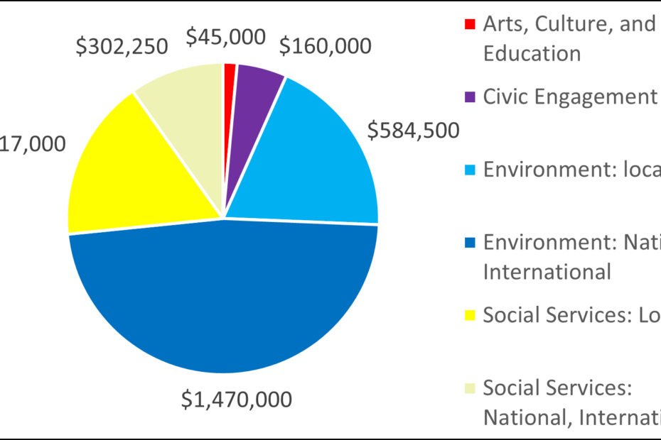 Pie chart showing breakdown by category: 45000 Arts, Culture, and Education 160000 Civic Engagement 584500 Environment: local 1470000 Environment: National, International 517000 Social Services: Local 302250 Social Services: National, International