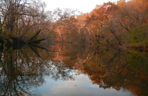 Shenandoah River in Autumn